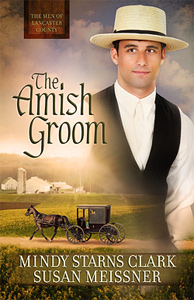 The Amish Groom