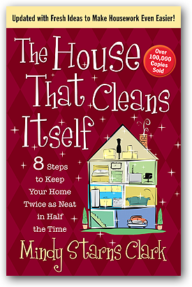 The House That Cleans Itself